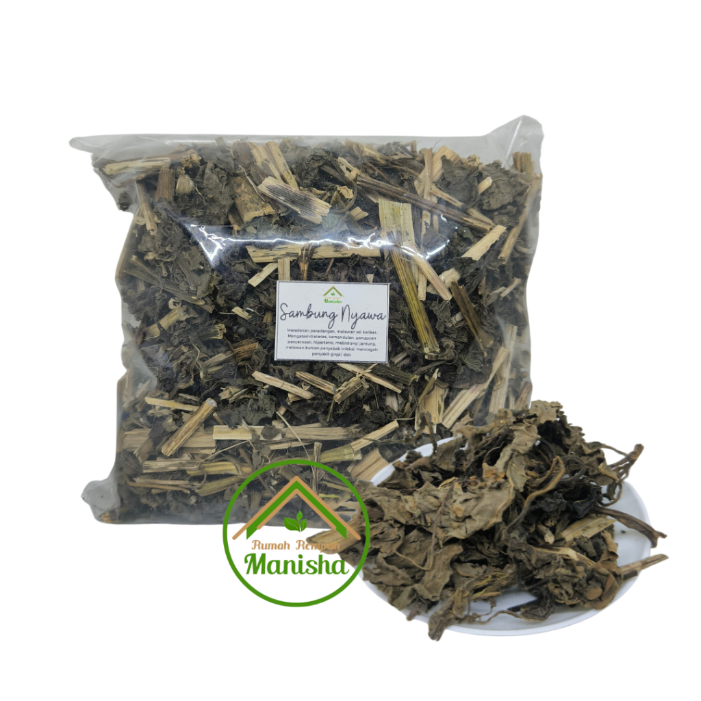 

Daun Sambung Nyawa Kering 100gr - Daun Dewa Kering