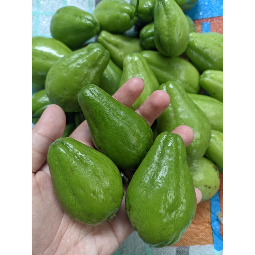 

LABU SIAM BABY / LABU SIAM LALAP FRESH BARU PETIK 1KG