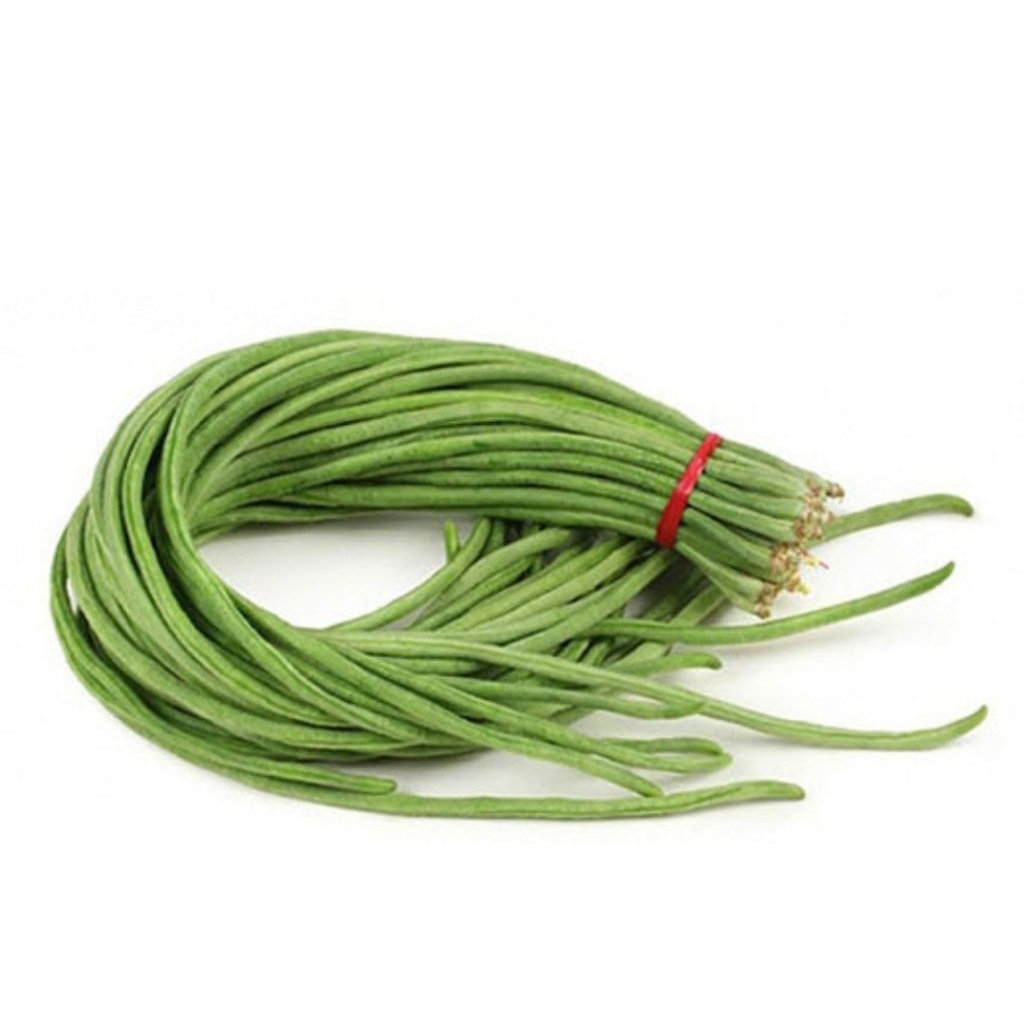 

kacang panjang segar