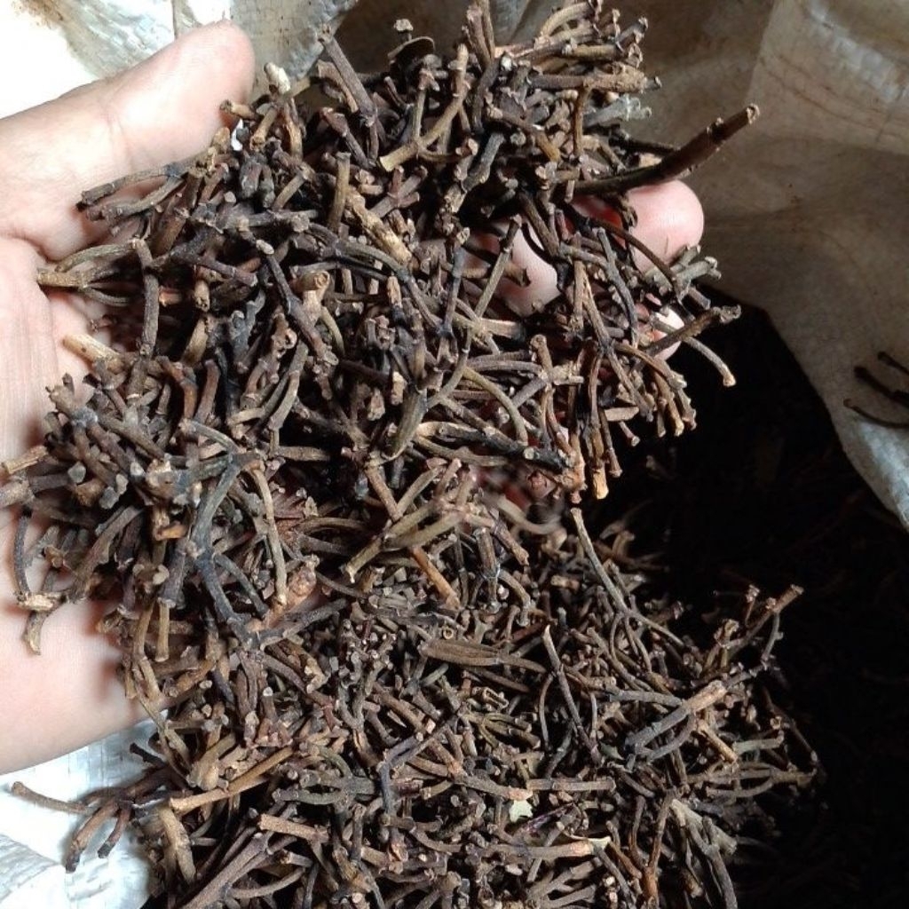 

gagang cengkeh premium 1kg