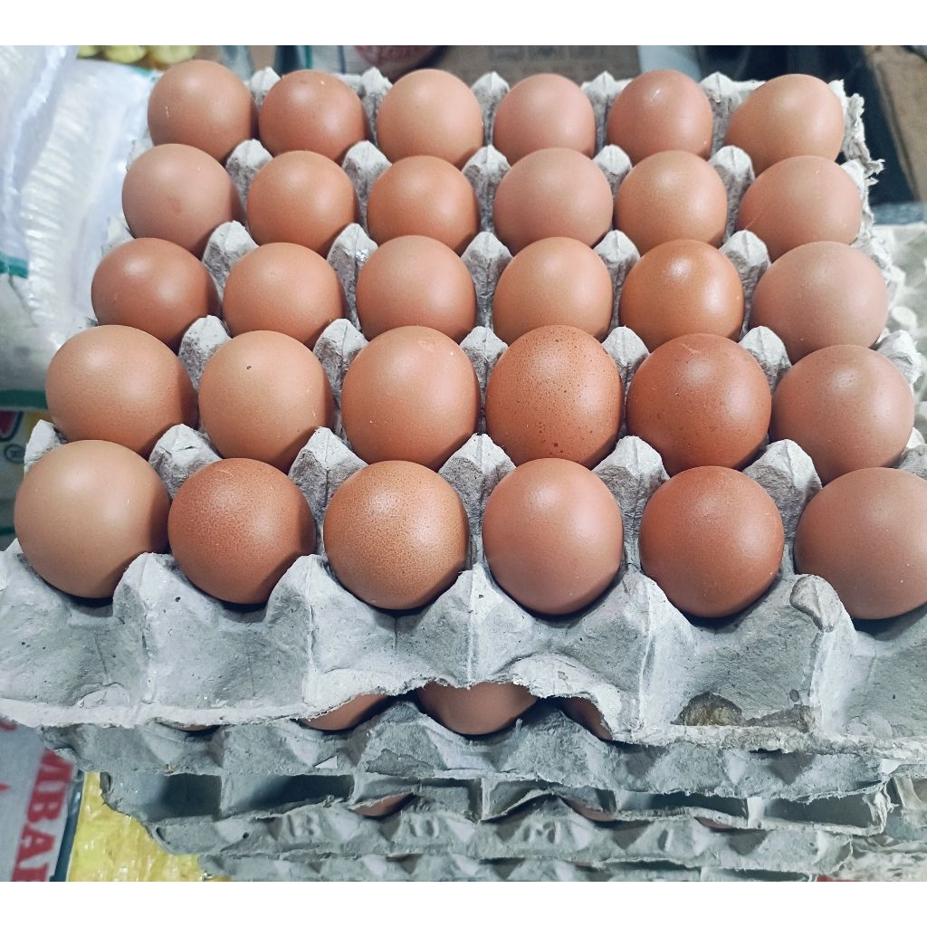 

Telur ayam Fress Grade A 5kg