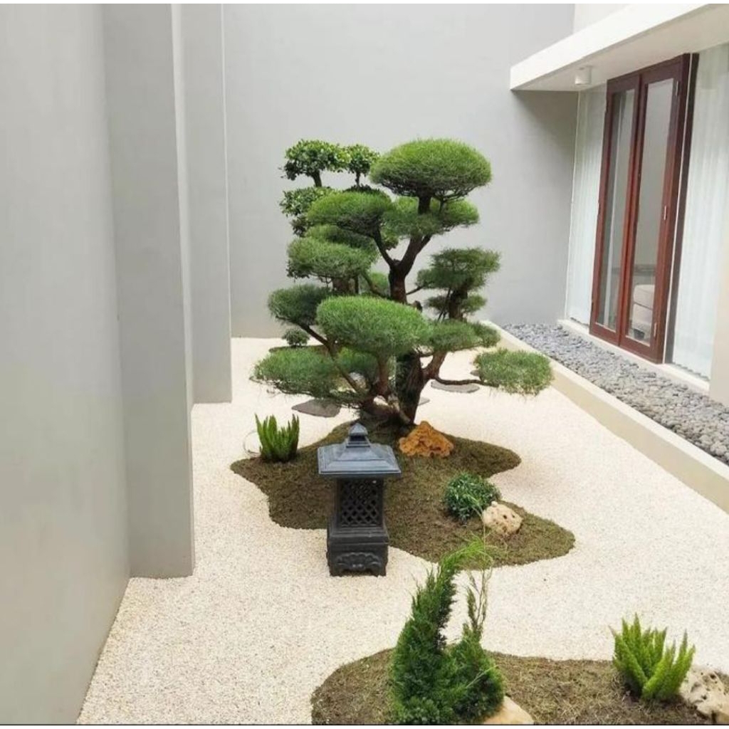 jasa taman kering/taman indoor/taman Japanese
