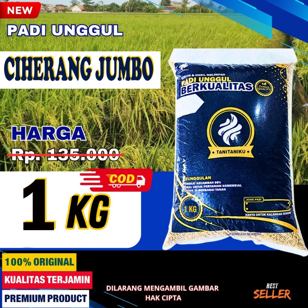 Benih Padi Ciherang Jumbo Premium Aroma Pulen