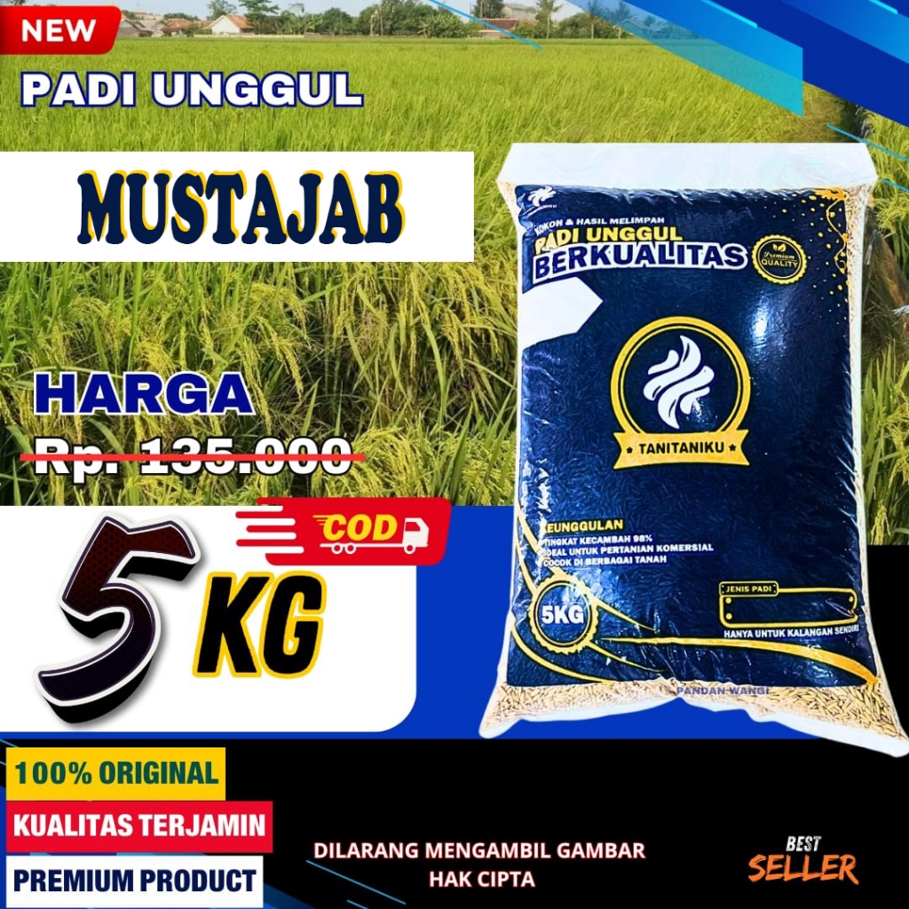 Bibit Padi Unggul Mustajab 5kg