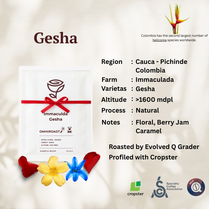 

Gesha Immaculada - Exotic Arabica Specialty Beans Single Variety - Rosest Rosetery