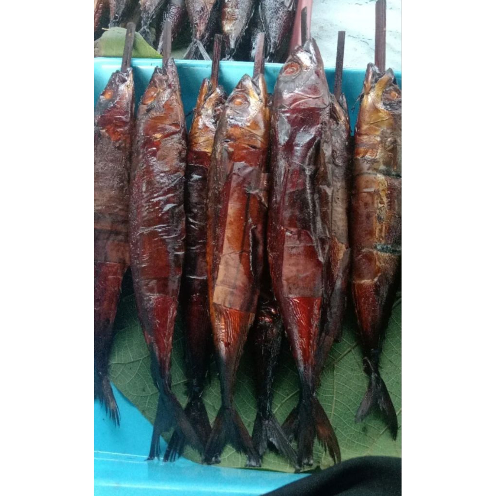 

ikan asep salem /pcs