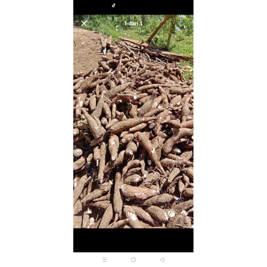 

Singkong ketan gurih,gempurrr poll