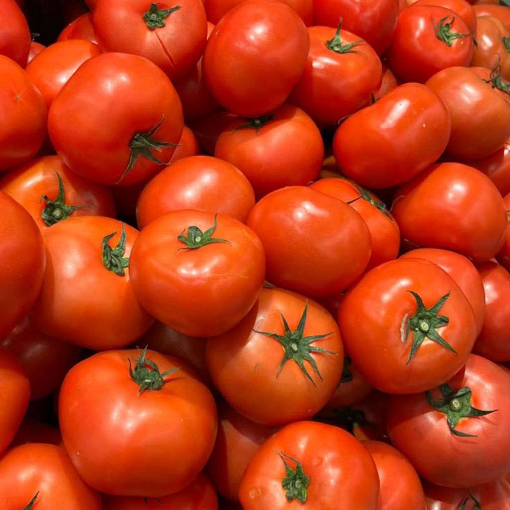 

CO TAMBAHAN (GRATONG)