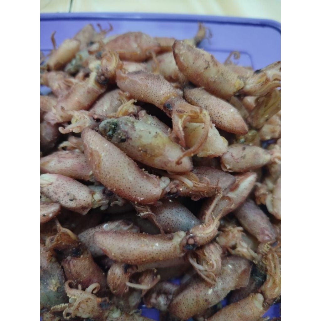

Balita Cumi Asli Medan 100 gram ( 2 cm - 4 cm )