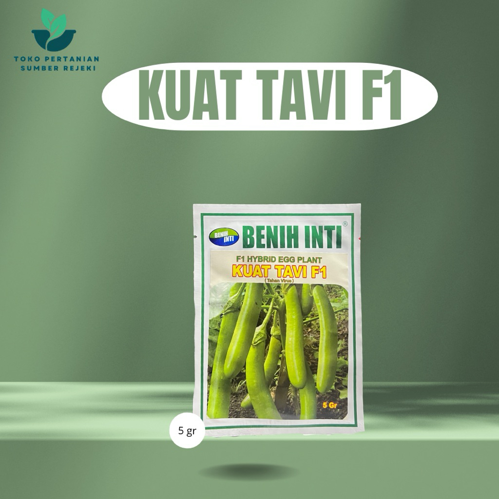 BENIH TERONG HIJAU KUAT TAVI F1 5 GRAM