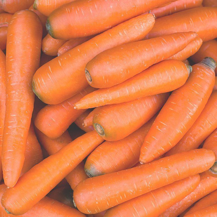 

Wortel Berastagi 1kg Fresh