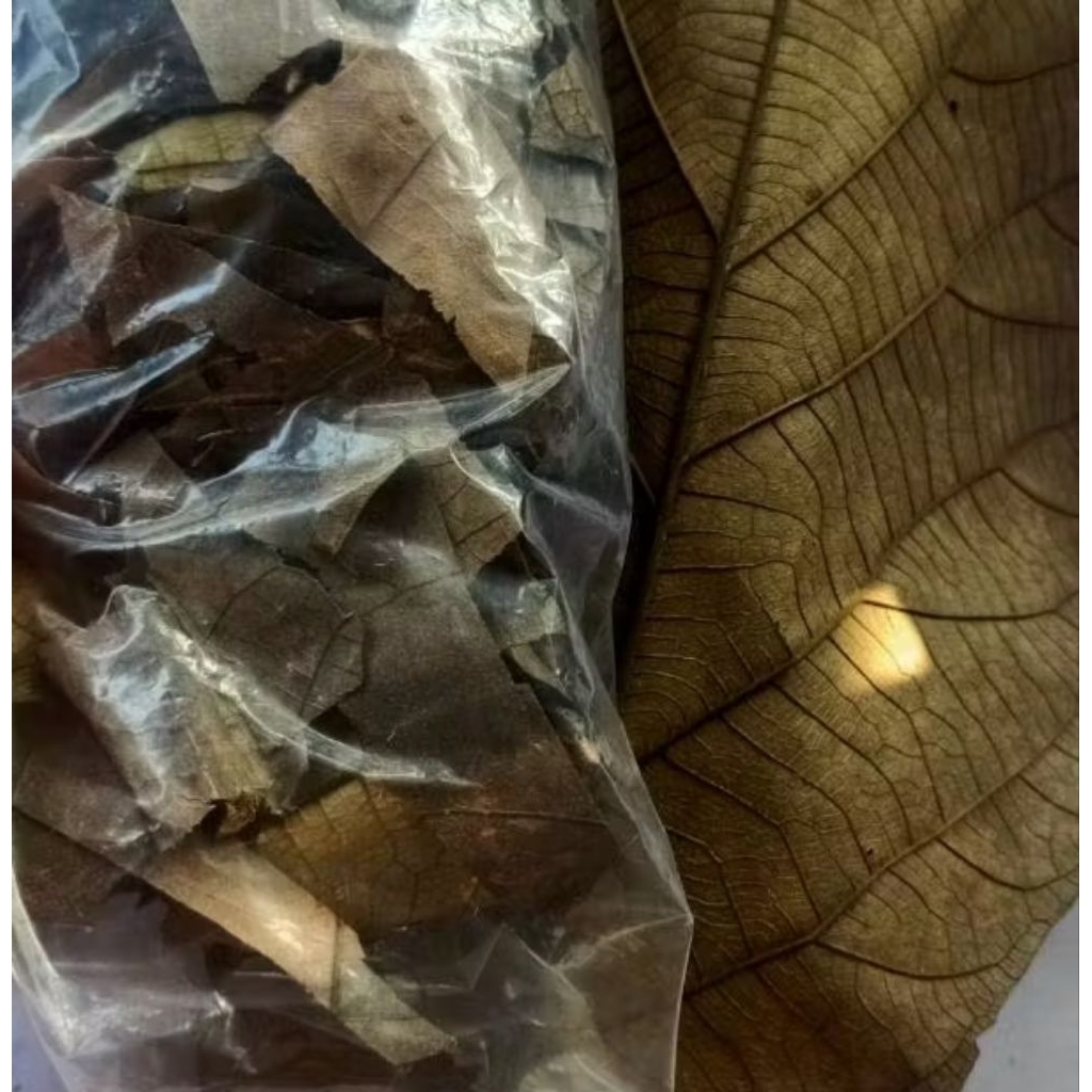 

daun jati kering 1 kg