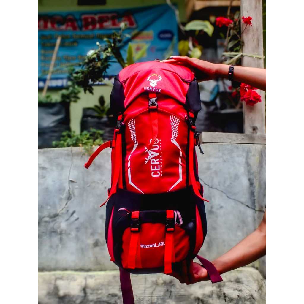 Tas Carrier Tas Camping Cervus Rinjani Series 40L  Nyaman Dipakai Busa Tebal Single Frame Sudah Ada 