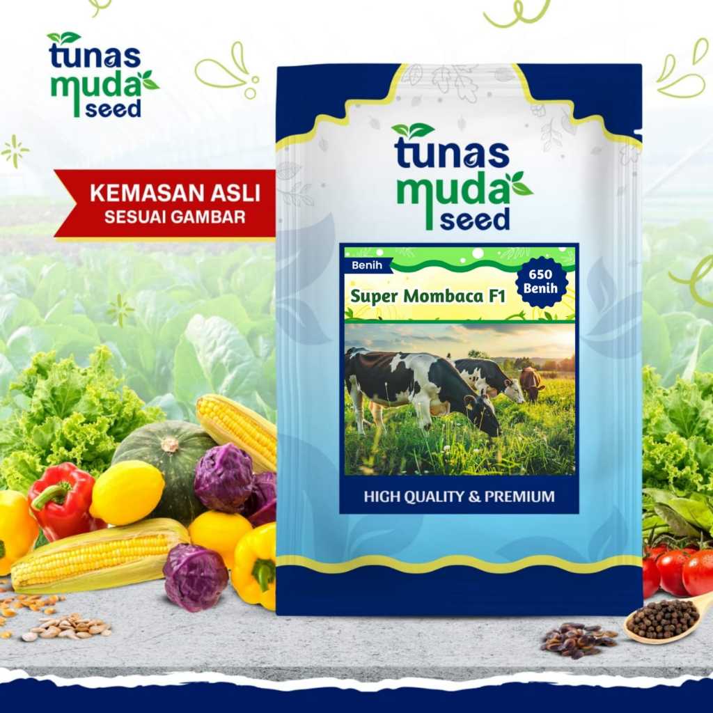 Benih Rumput Mombaca F1 Import (650 benih)