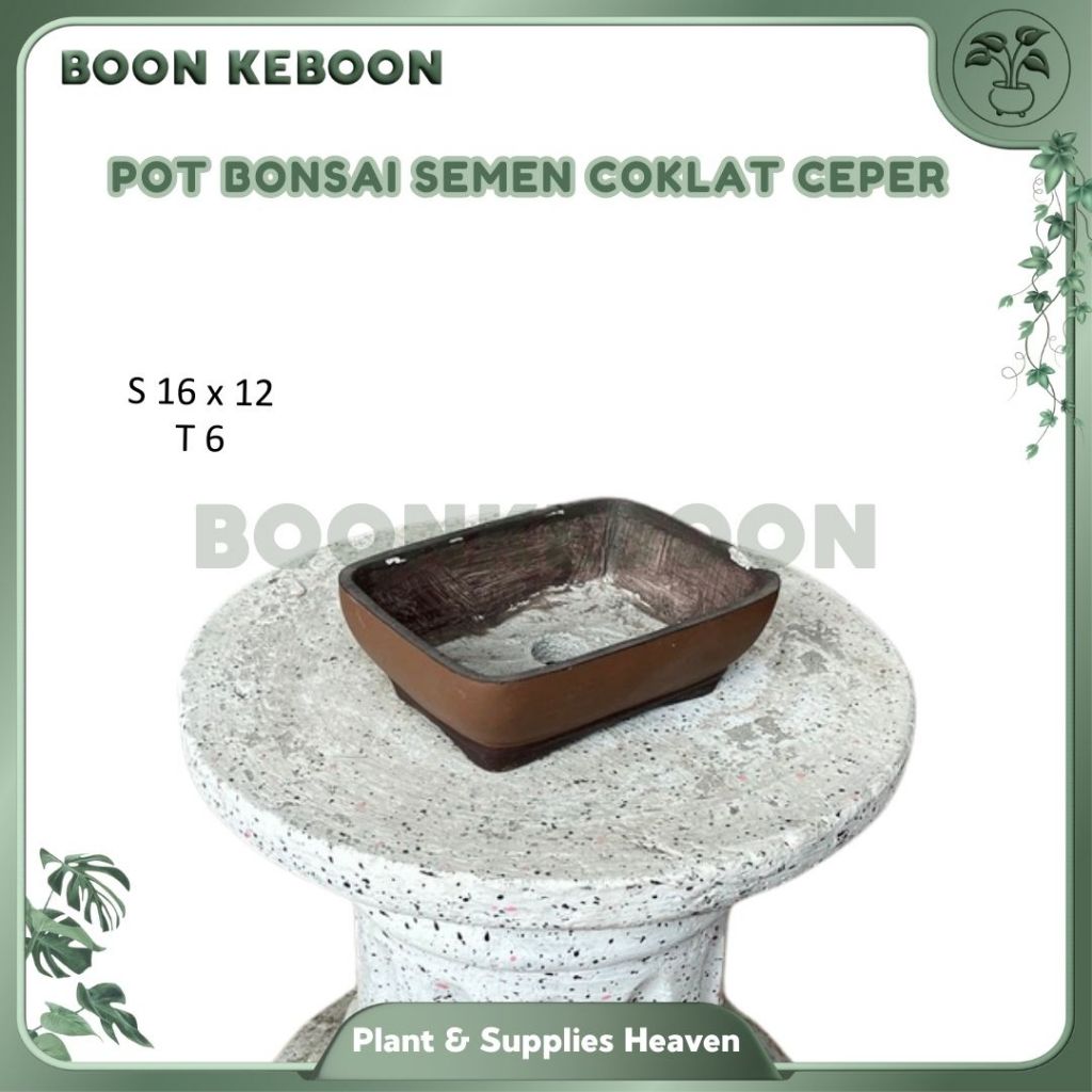 Pot Bonsai Semen Coklat Ceper