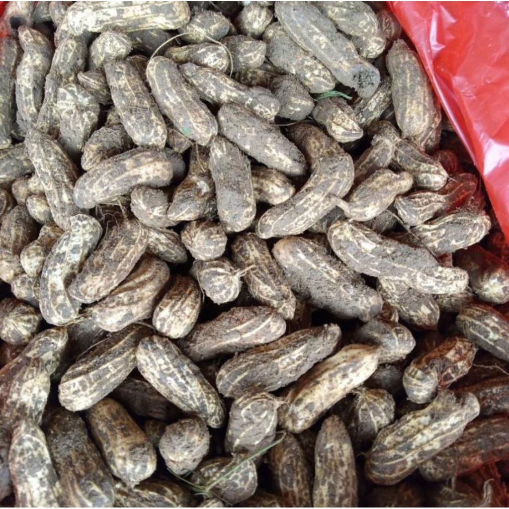 

kacang tanah mentah 1kg