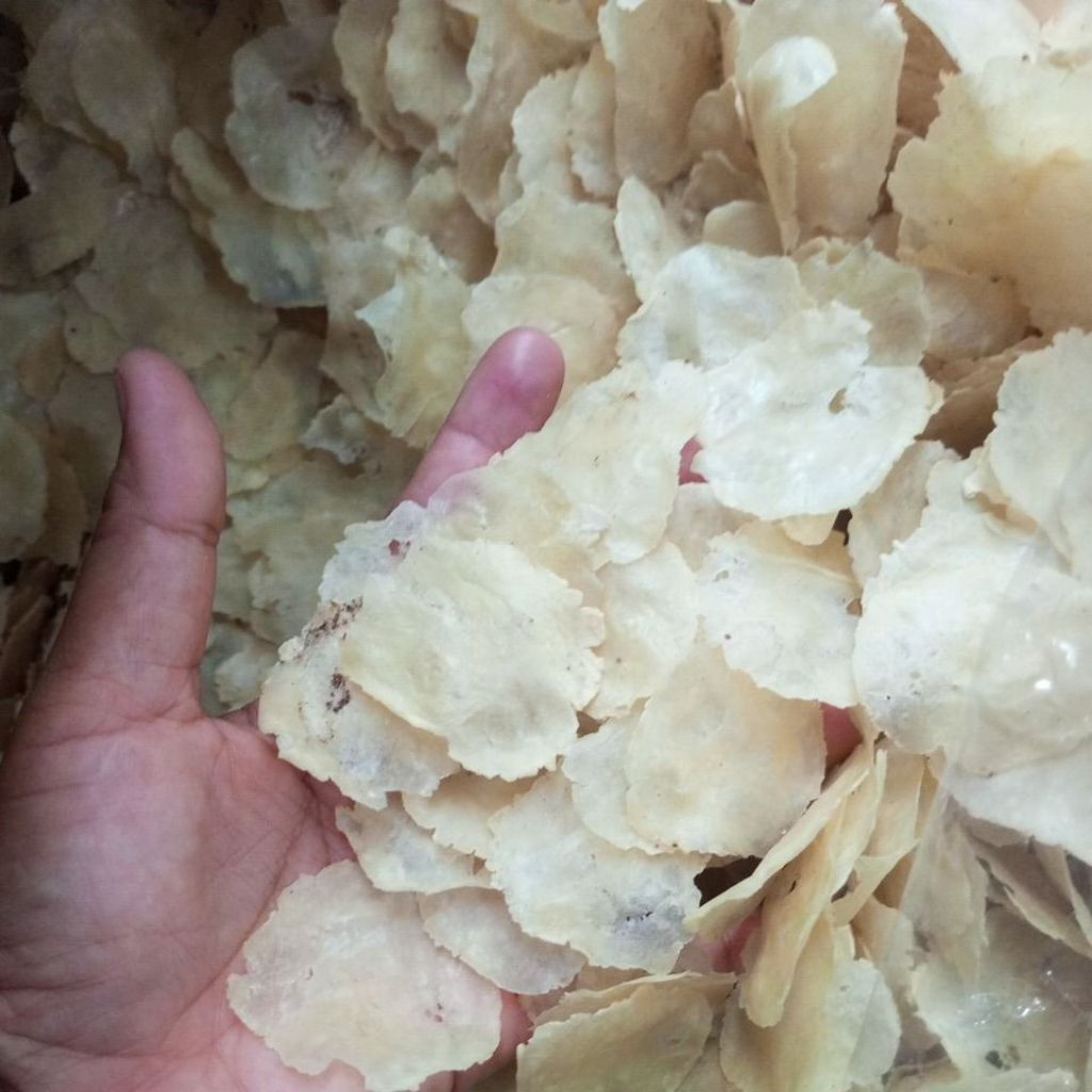 

1 KG EMPING MELINJO KHAS BANTEN SUPER TIPIS