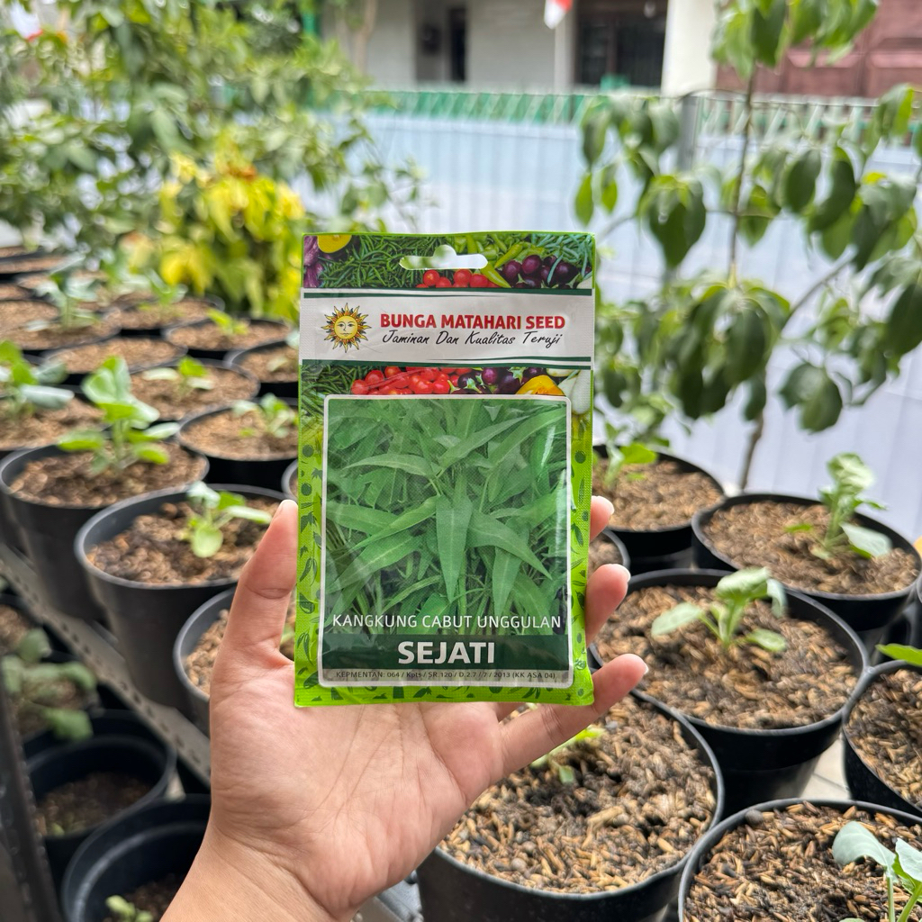 bibit kangkung - kangkung cabut - 25gr exp mei 2026