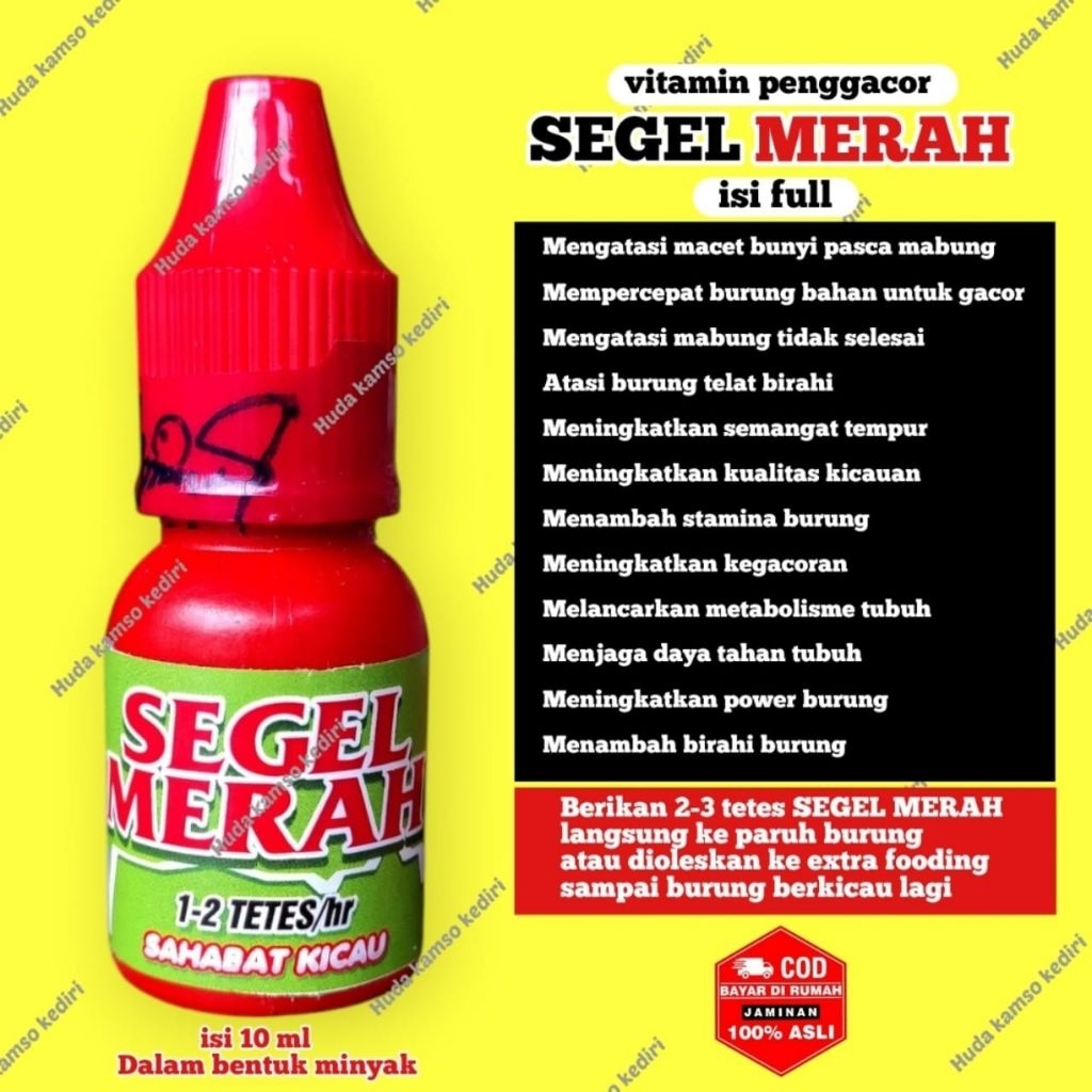 SEGEL MERAH  +  +  High ++  SEGEL MERAH  FULL + DOPING PLECI + DOPING SOGON + VITAMIN LOMBA BURUNG +