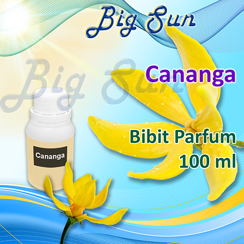 Bibit Parfum Wangi Cananga / Biang Parfum Wangi Ylang Ylang