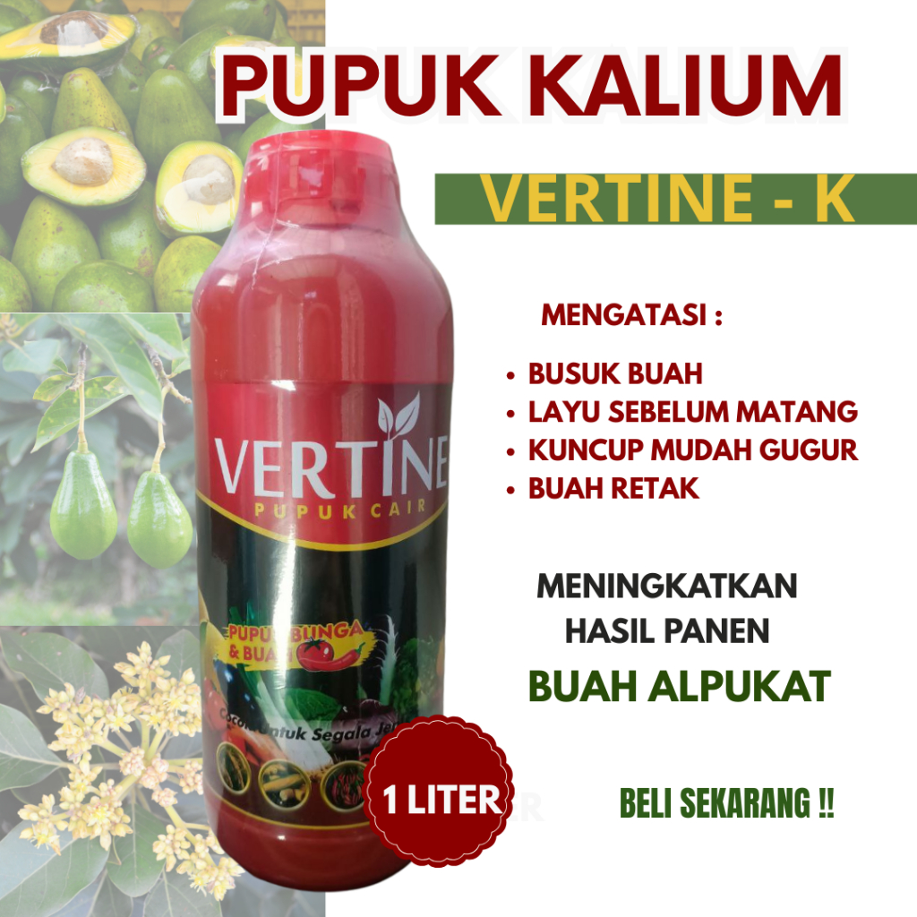 Pupuk Kalium Buah Cair Untuk Pembuahan Alpukat, Pupuk VERTI K (Kalium) Pelebat Buah Alpukat Miki