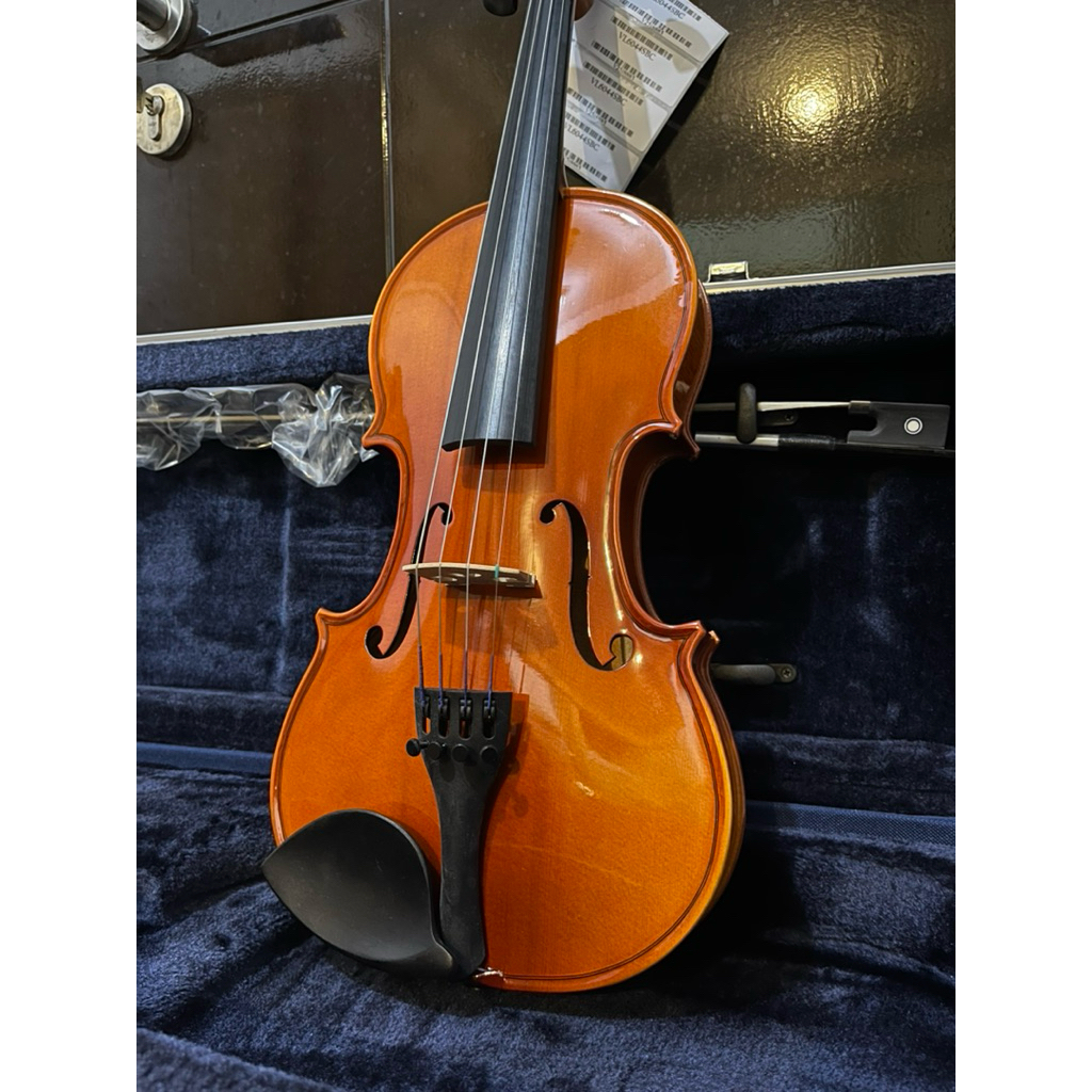 Biola Eastman VL60/Violin Eastman VL60 - Size 4/4