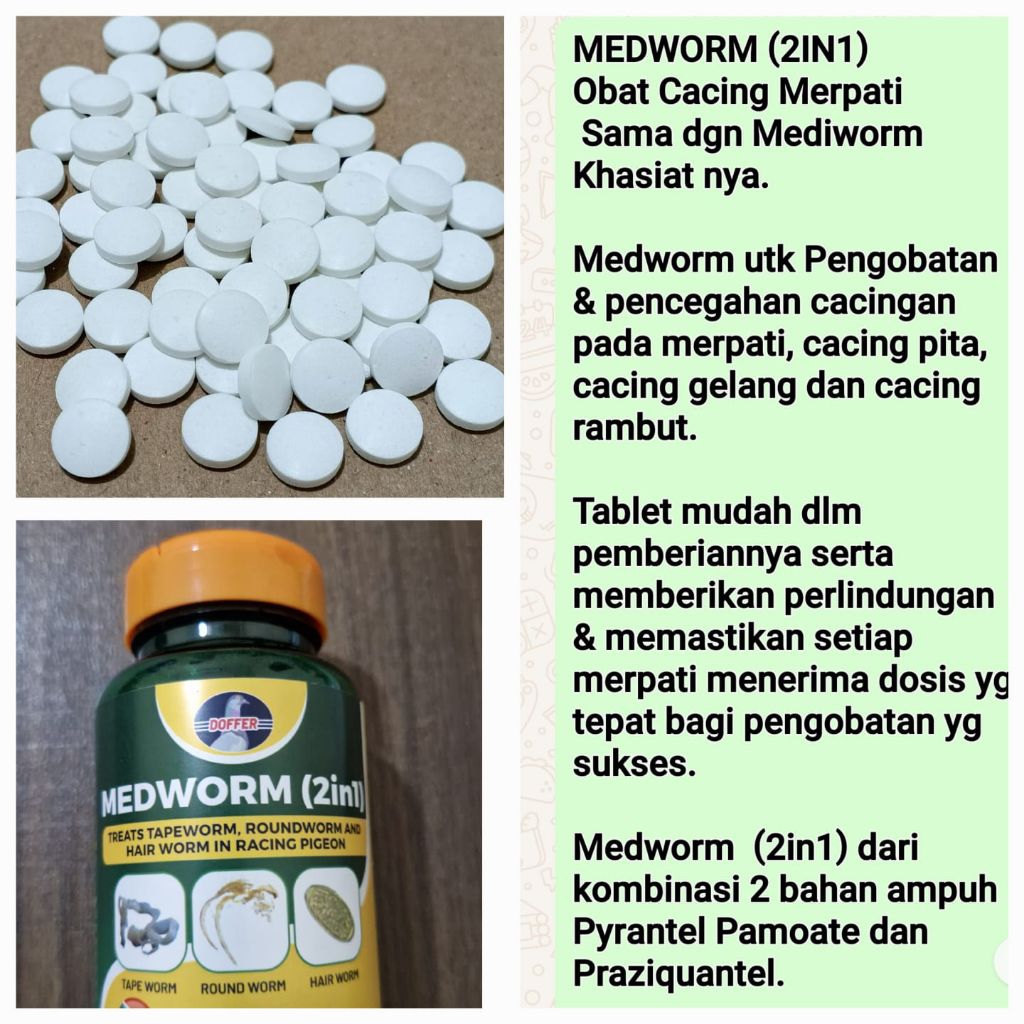 MEDWORM OBAT CACING MERPATI