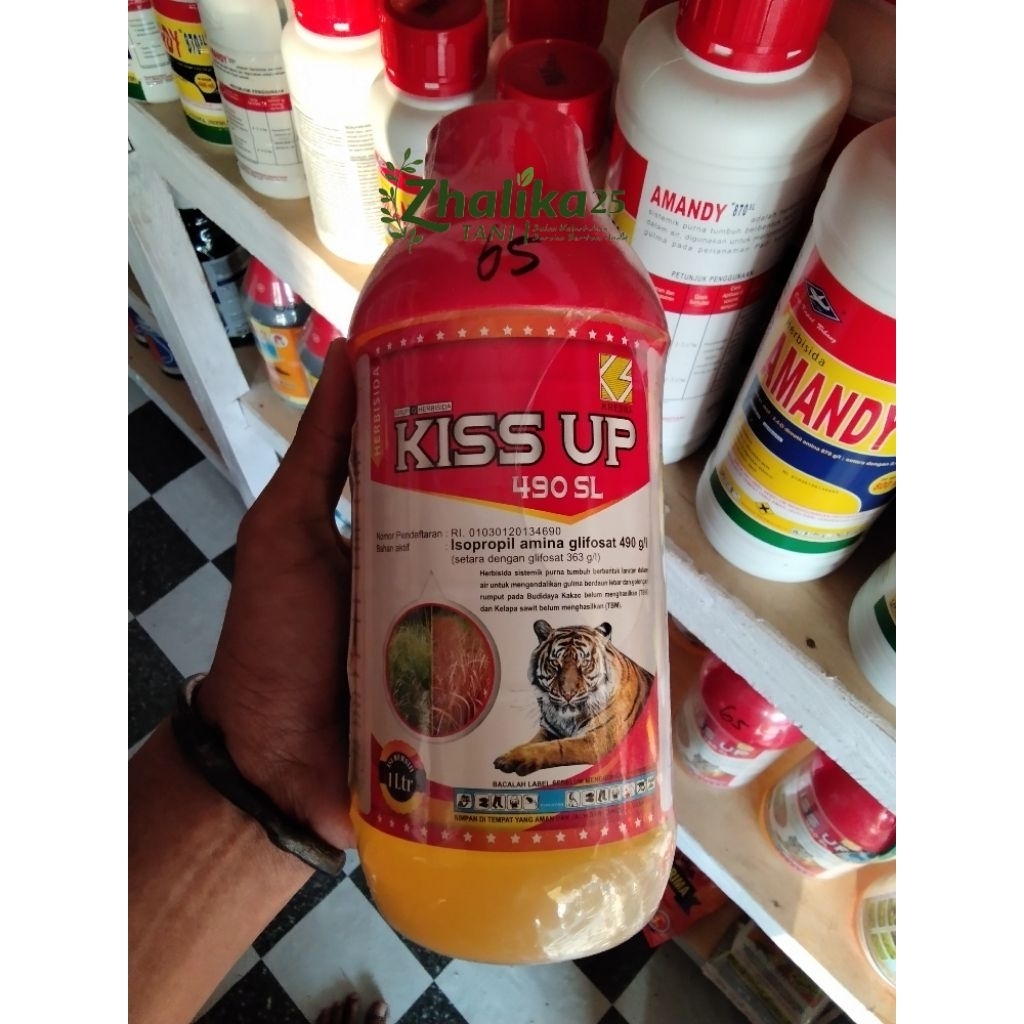 KISS UP 490SL PLUS METIL METSUL 24WP HERBISIDA SISTEMIK AMPUH ATASI GULMA / RUMPUT BANDEL