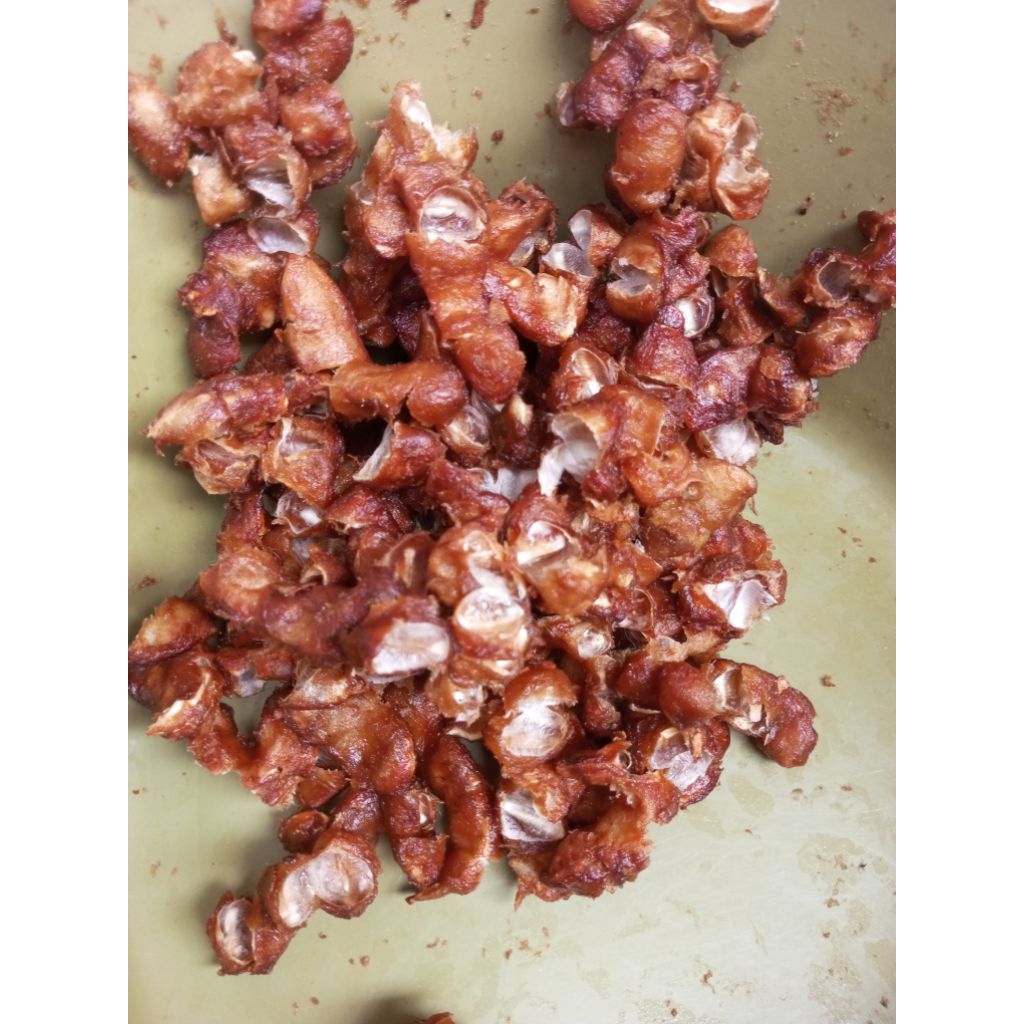 

Asem tanpa biji -- Asem Jawa/Bali Singaraja Non Biji - kecoklatan