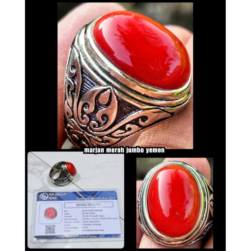 original batu marjan merah jumbo asli yemen laut merah