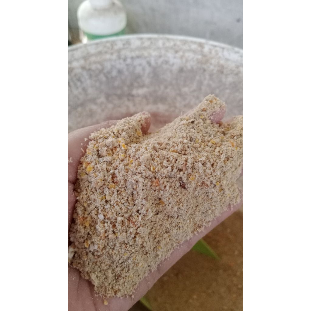 pakan jadi ayam petelur kemana 1 kg