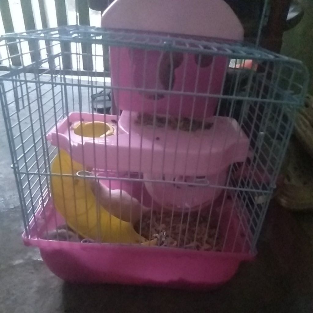 PRELOVED KANDANG HAMSTER BESERTA HAMSTERNYA