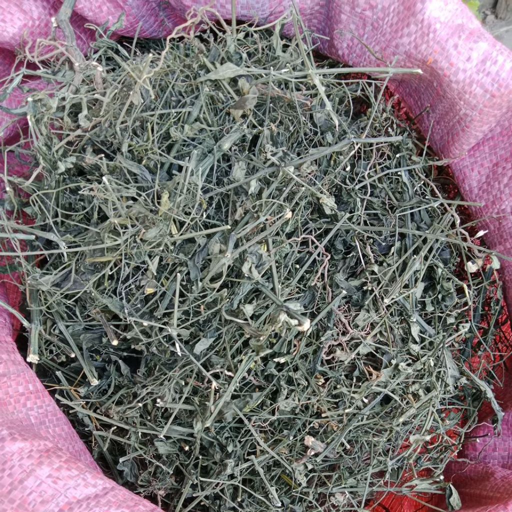 

Daun sambiloto kering asli 1000gram / Sambiloto sudah cacah kering