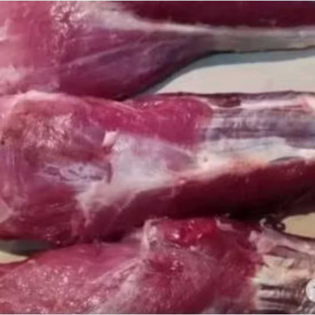 

Daging Sapi Paha Mengkel 500 Gram