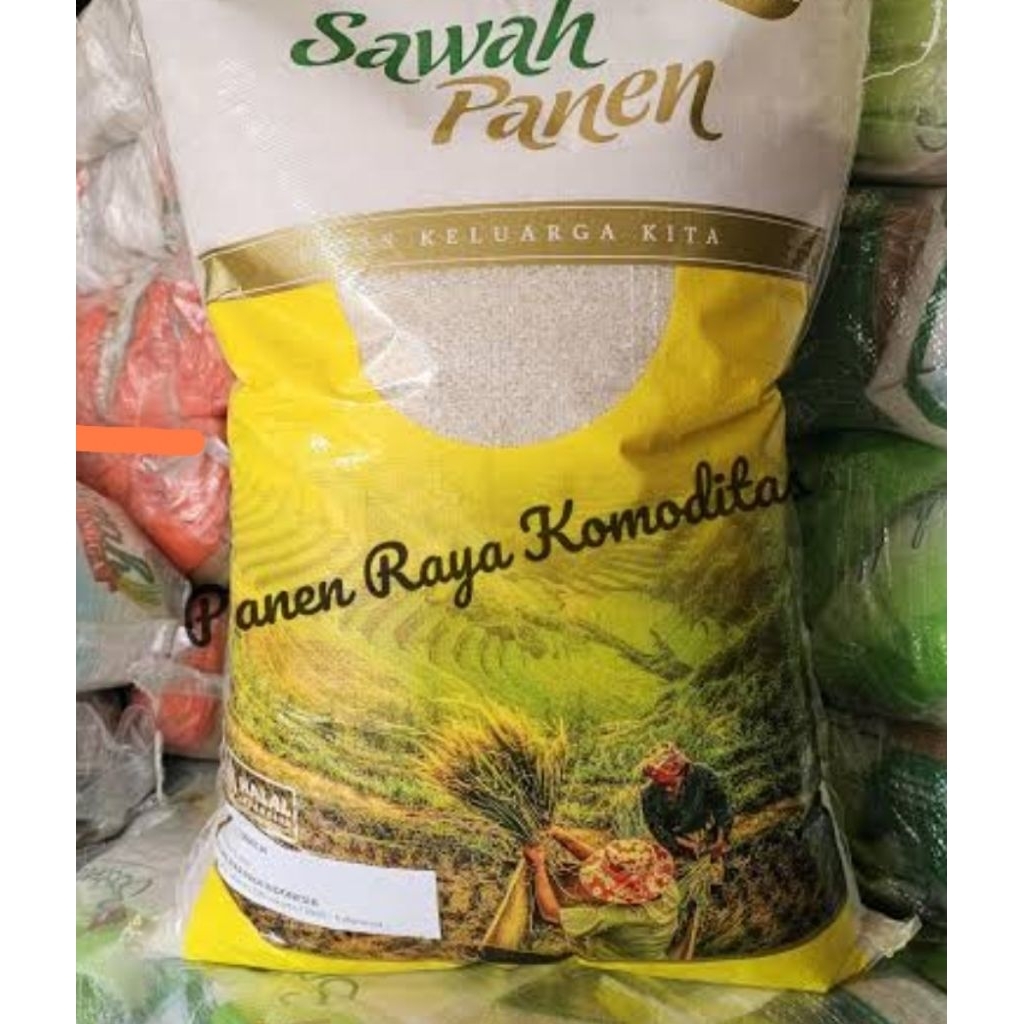 beras sawah panen dualima