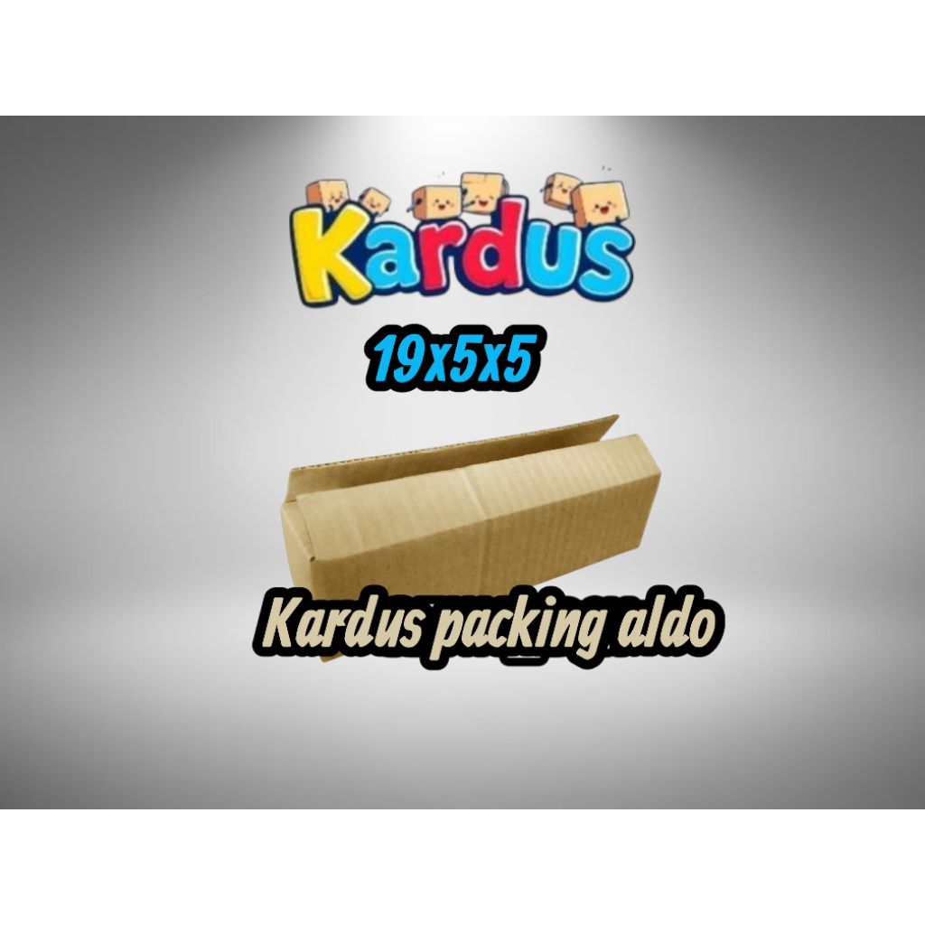 

kardus box packing 19×5×5