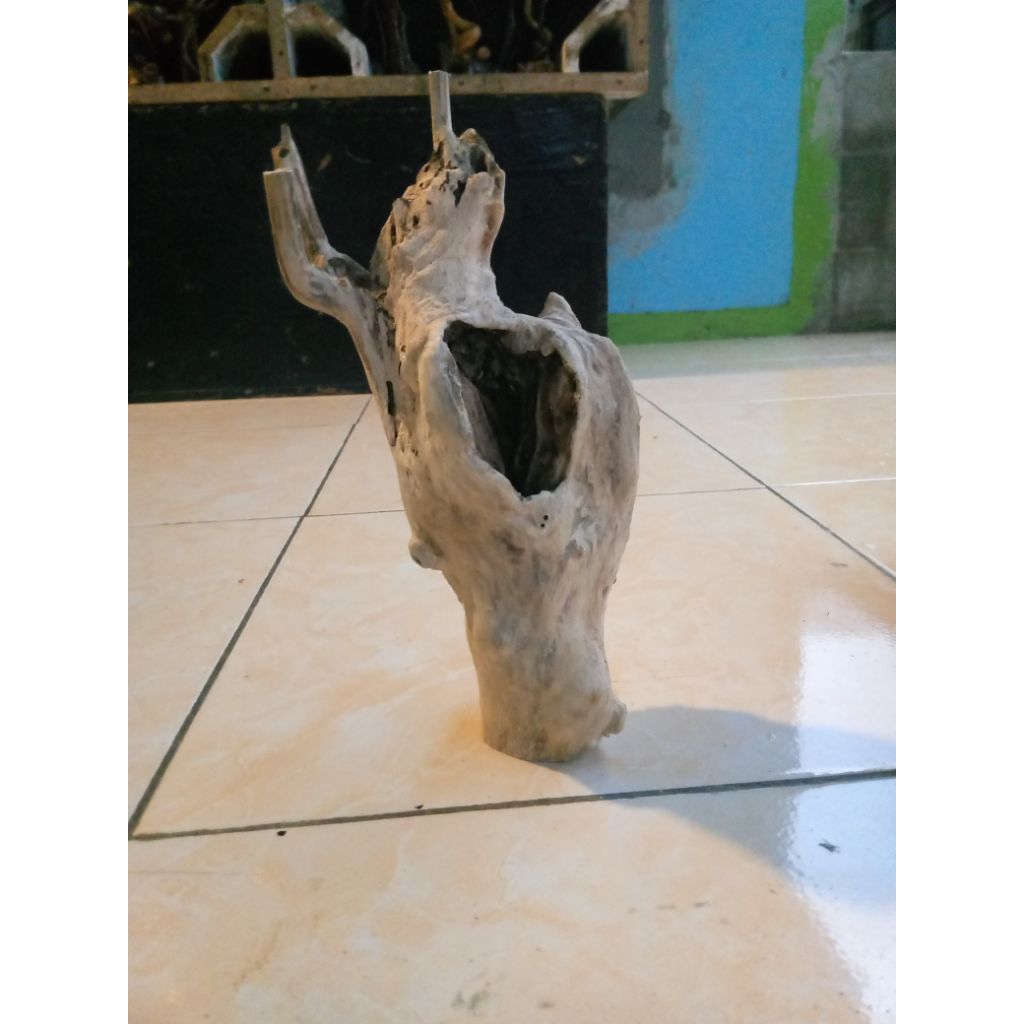 kayu aquascape batang kayu kopi berkarakter