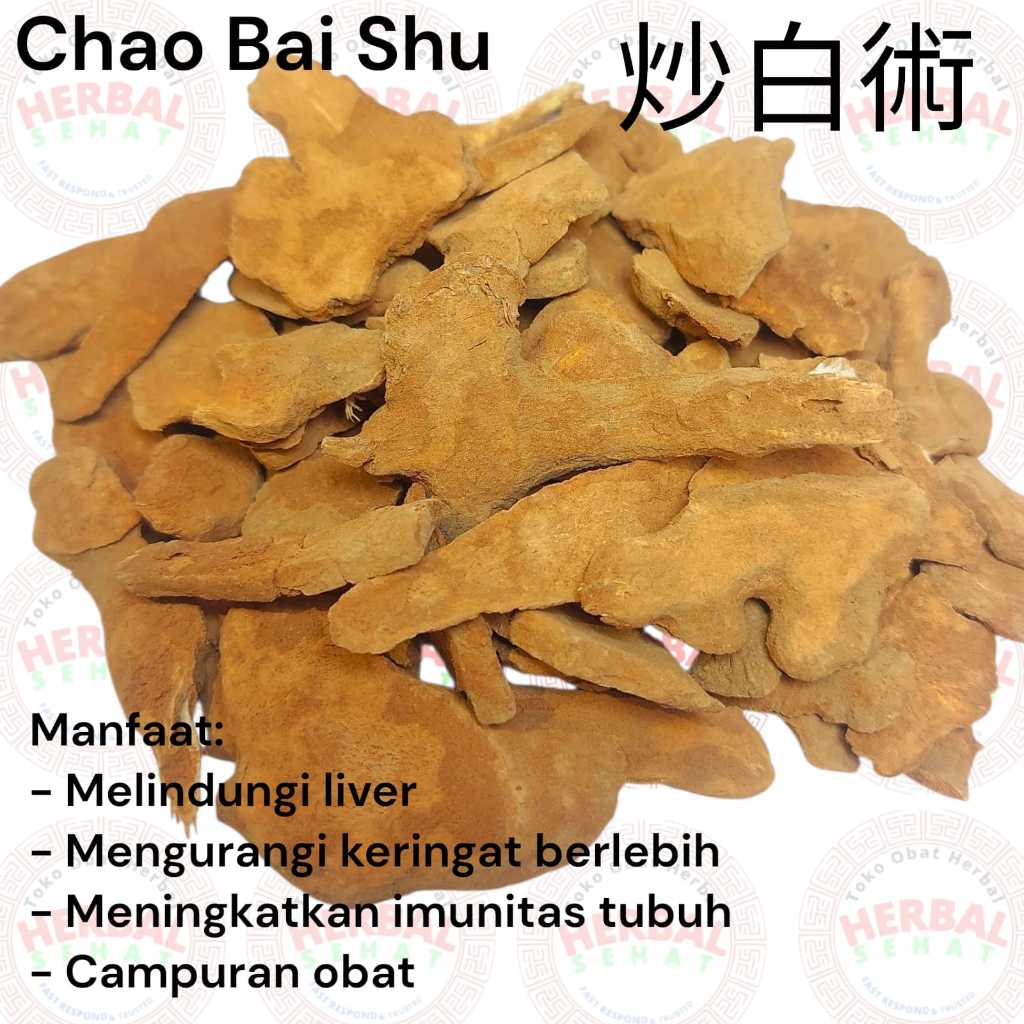 

Chao Bai Zhu / Chao Bai Shu / Cha Pek Cuk / Pek Tuk - Atractylodes macrocephala