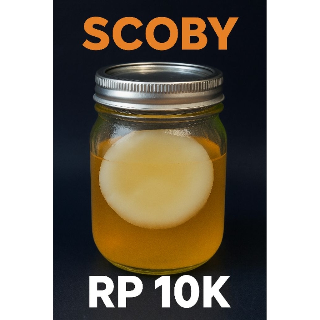 

SCOBY KOMBUCHA MURAH / BIBIT KOMBUCHA PROMO / PRODUK PREMIUM BERKUALITAS