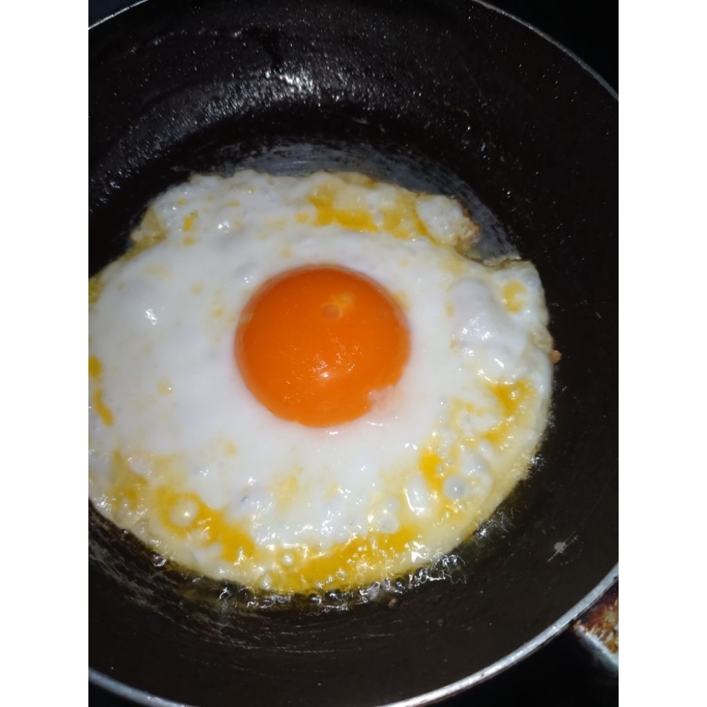 

Telur Ayam Kampung Arab Isi 30 Butir