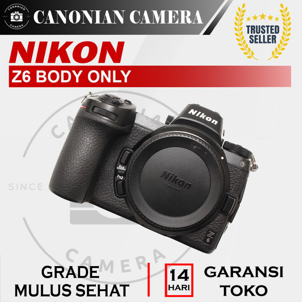 Kamera Nikon Z6 Camera Mirrorless