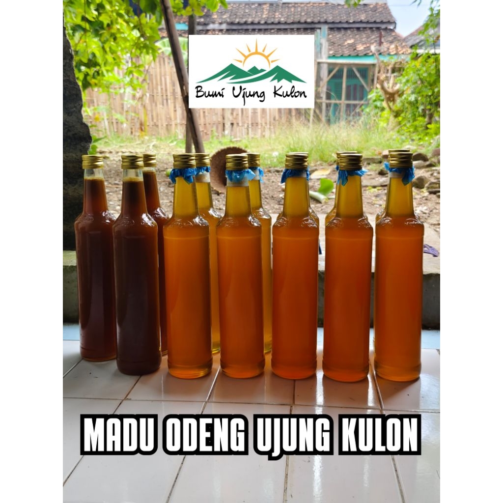 

Madu Odeng Ujung Kulon MADU HUTAN ASLI MURNI 100%