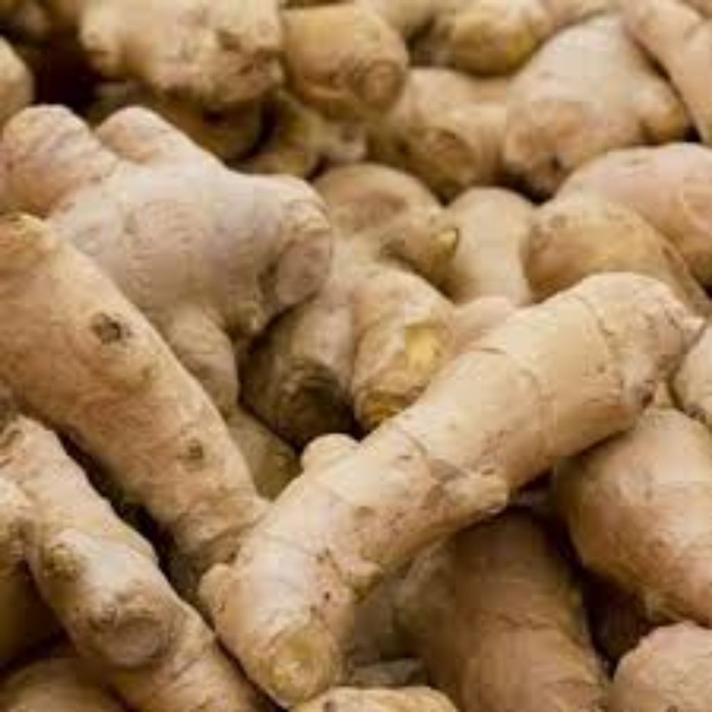 

Jahe Emprit Cuci Super 1kg / Jahe Emprit / Jahe Emprit Lokal / Jahe Lokal Emprit Segar / Fresh Local Emprit Ginger