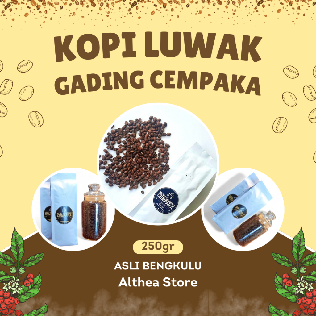 

KOPI LUWAK ARABIKA 250 gr - KOPI GADING CEMPAKA - ASLI BENGKULU