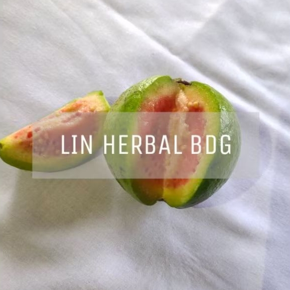 

Jambu Merah Segar Petik Order - Kemasan 1000 Grm