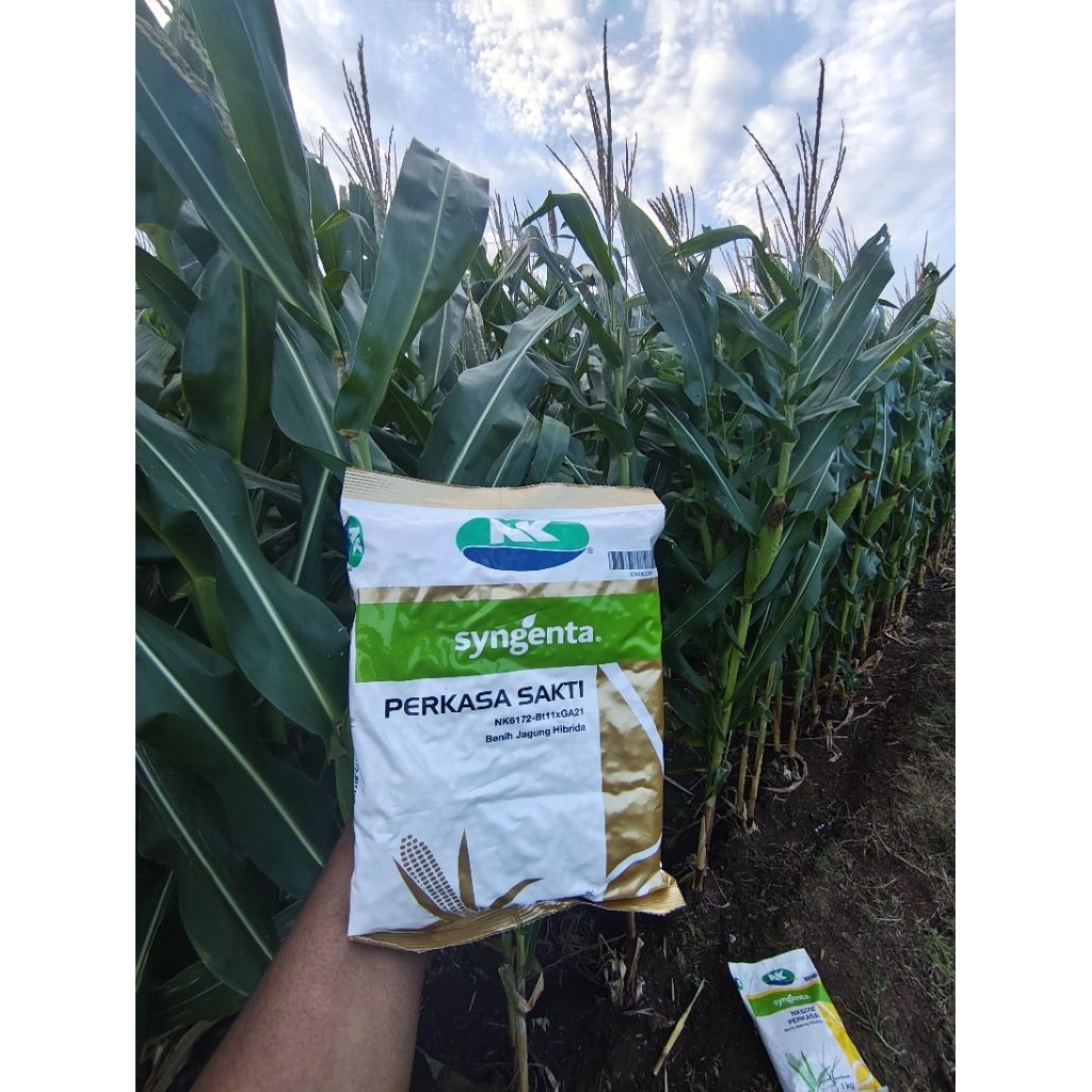 Benih Jagung NK Perkasa Sakti 1 kg