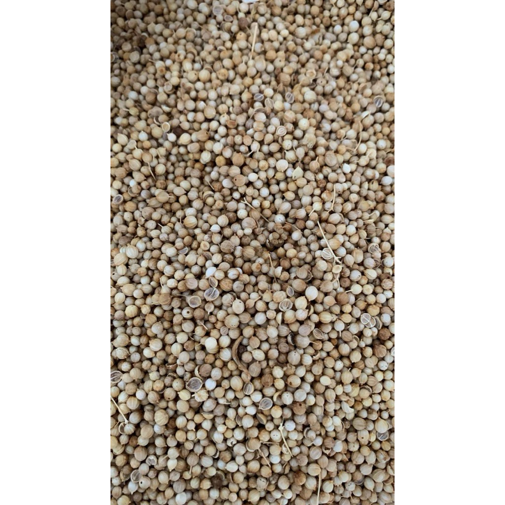 

Biji Ketumbar Per 250 Gram