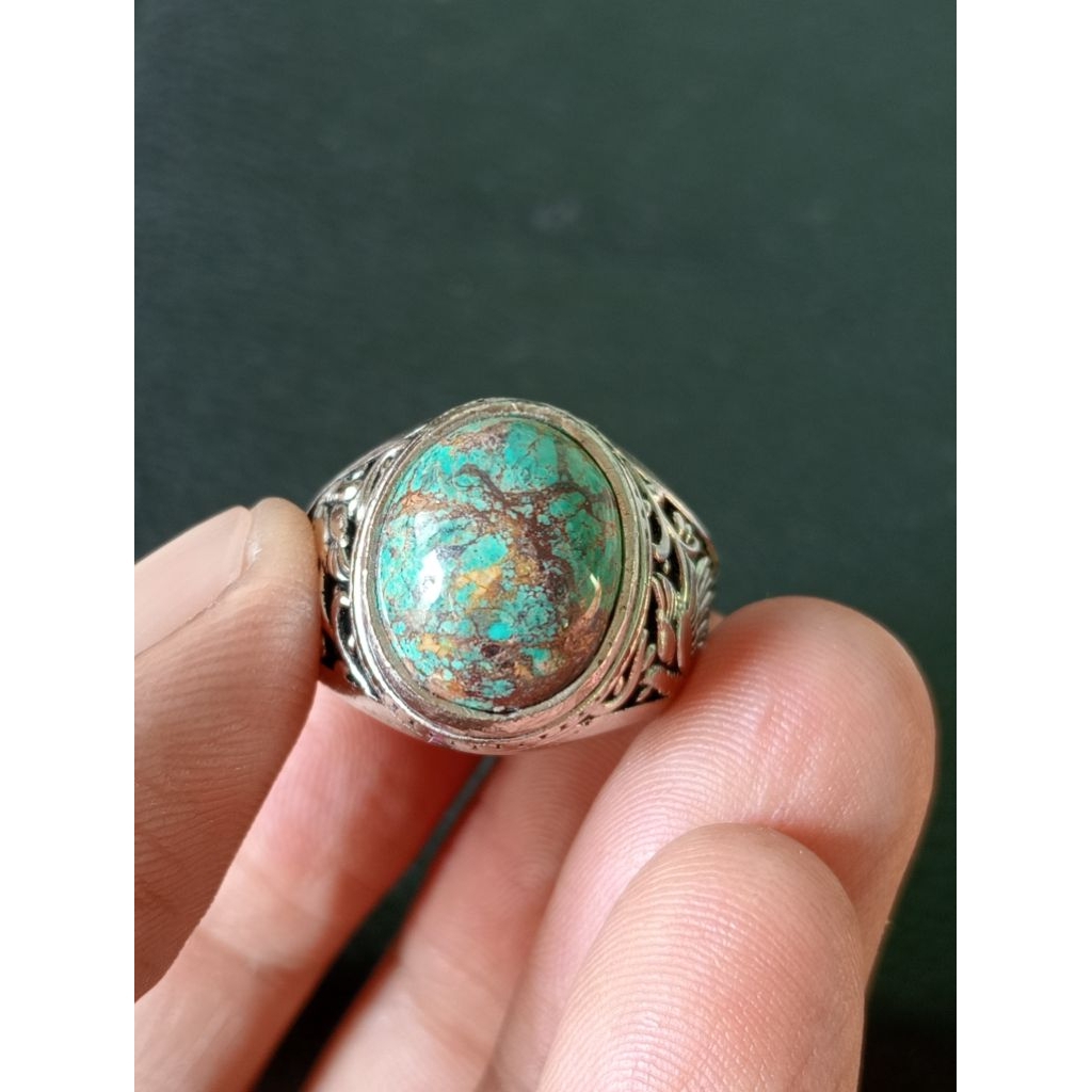 pirus Persia ijo00004