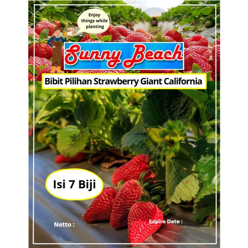 Bibit Pilihan Strawberry Giant California | Biji Benih Strawberry Giant California | Strawberry Gian