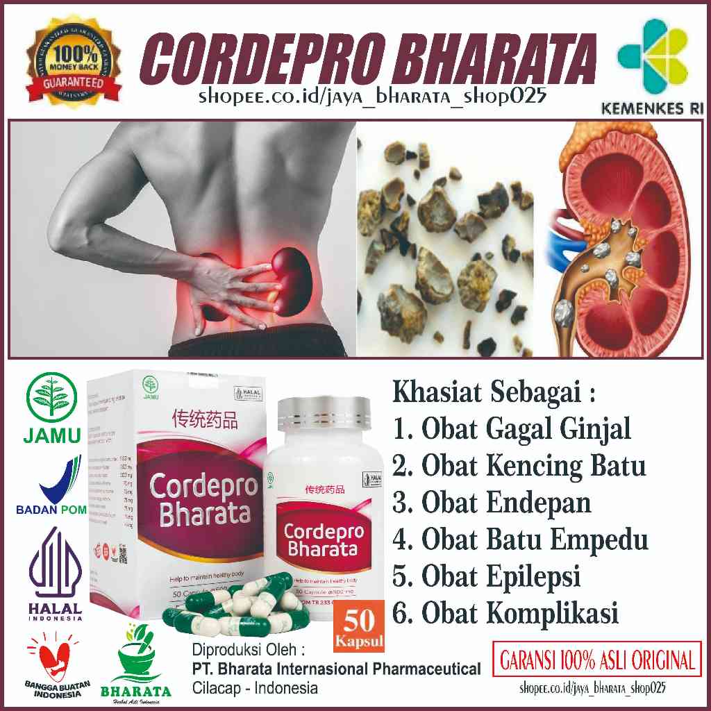 Obat Ginjal Premium CORDEPRO BHARATA Original Obat Batu Ginjal Obat Batu Empedu Obat Radang Ginjal
